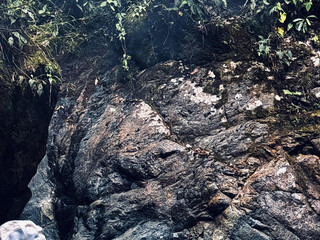 🌳Nature lover🌳