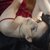 NaughtYHomemadE
