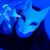 -VULPECULA-