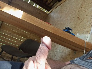 My Photos