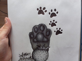 Мои новые рисунки