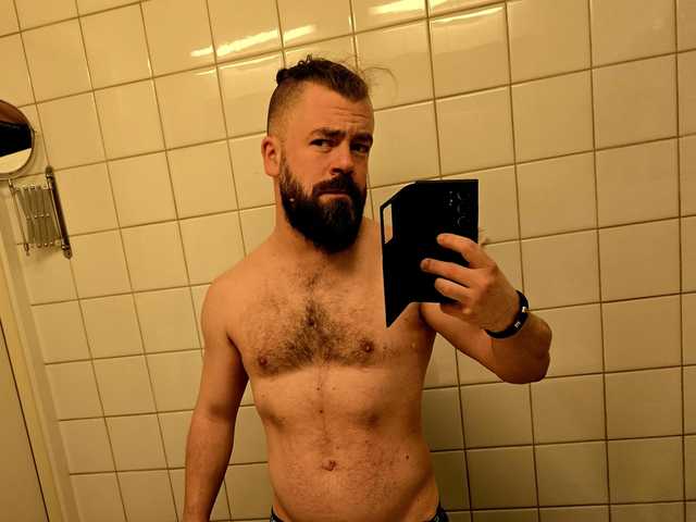 VikingHussar