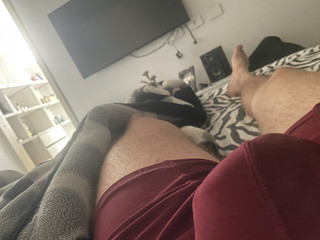 Bulge, arms and Chest