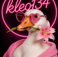 Kleo134