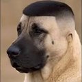 Kailjonn