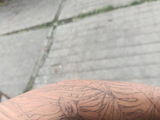 Tattoo Sleeve in progress