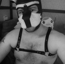 DoggieArtik25