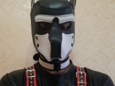 PupMax69s profilbillede