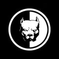 Vitalii55555