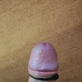 Sergant-