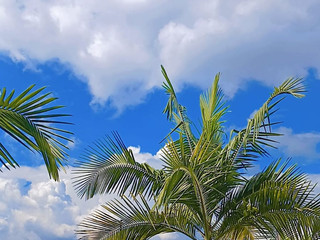 🎀Welcome to my room 🎀