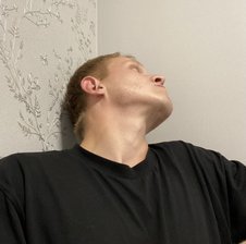 vinsesx