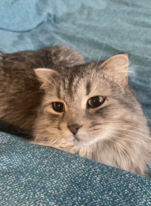 pr1vetandrey My Photos photo 13067269