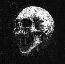 _PHANTOM_