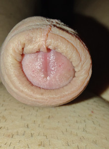 Pepsi3572 Я photo 14689947