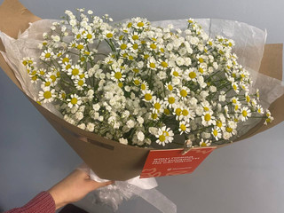 🌸