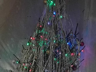 My Photos