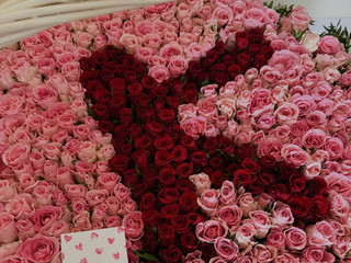 Flowers from you 🤍