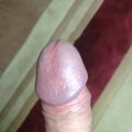 Saibalsia