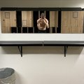 Oppblock