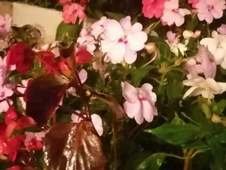 Take time with me babe!