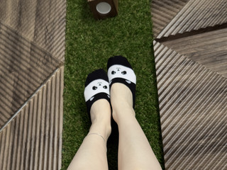 Legs 