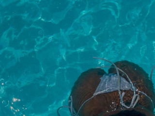 My Photos