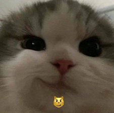 pukekch