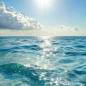 A trip to the ocean