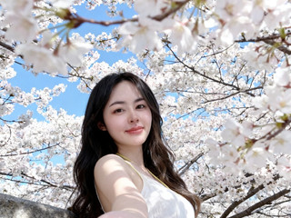 浪漫樱花