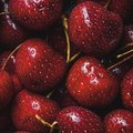 Sweet-cherry33