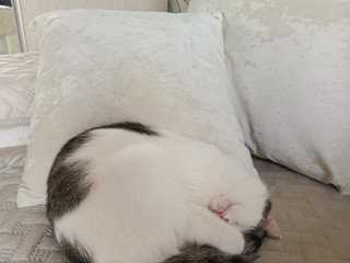 Здрасьте🤣🤣🤣