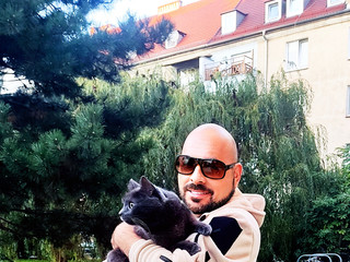 Cats