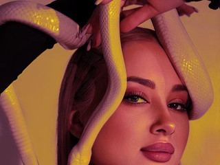 🐍🐍🐍🐍🐍🐍🐍🐍🐍🐍🐍