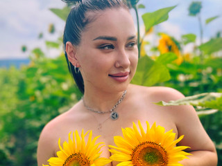 🌻🌻🌻🌻🌻🌻🌻🌻
