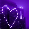 VnT-