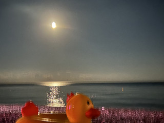 My Photos