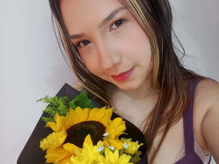 🌻yellow flowers🌻