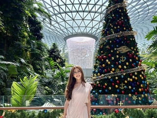 SingaporeTrip9