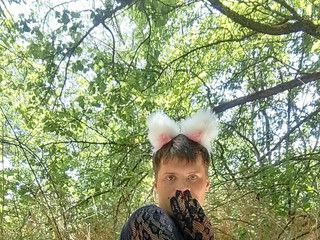 Forest cat
