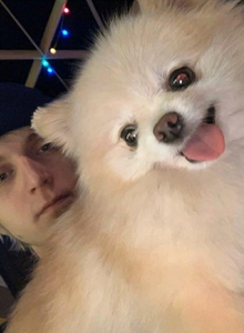 lisichkin My Photos photo 13523730