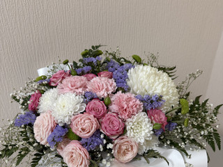Flowers🌸