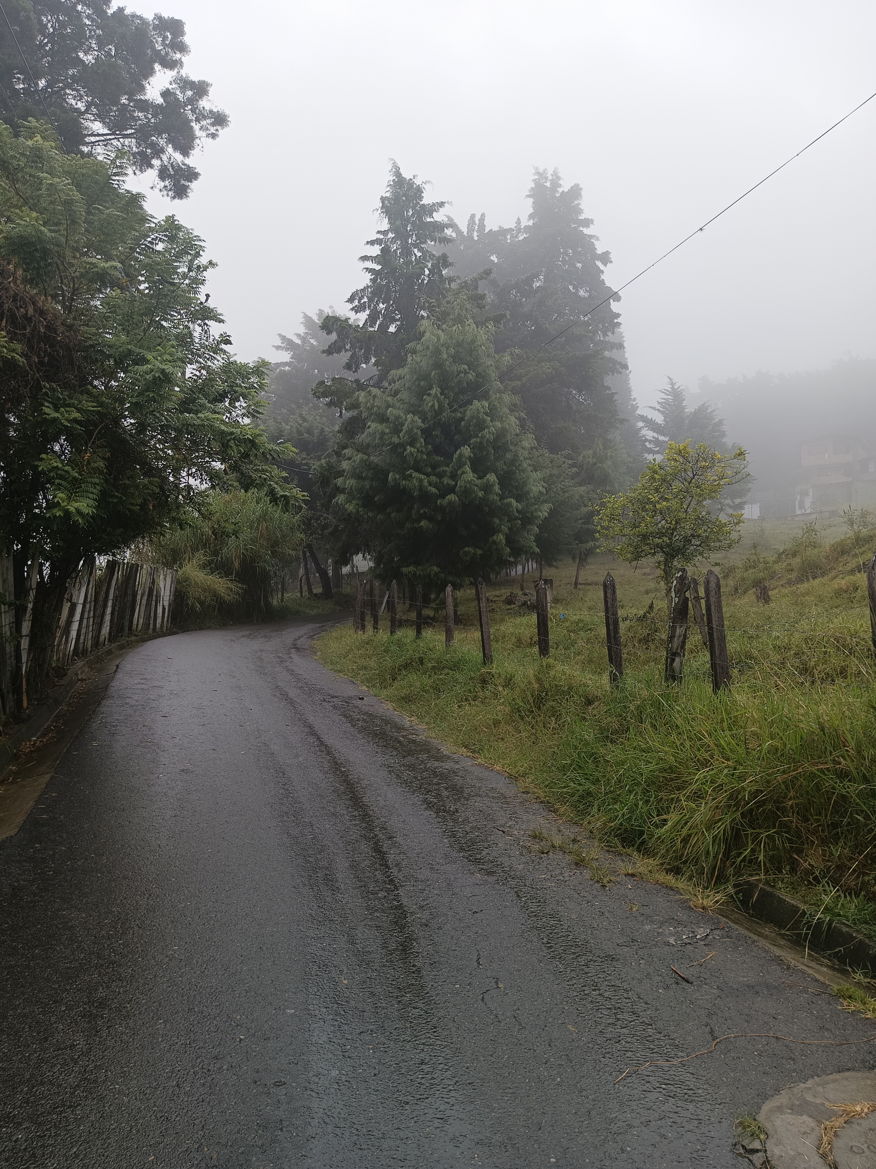 Napsterx Me gusta image: 1