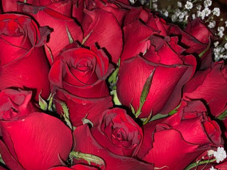 Flowers💋