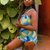 Bustychichi