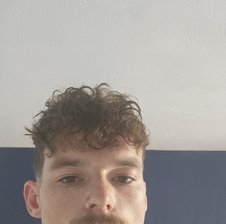 Hungstraightbull