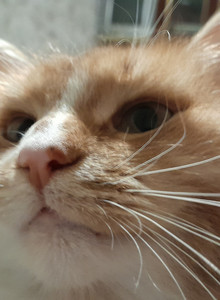 Sanek-valerok My Photos photo 14595842