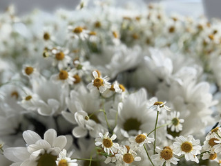 Your bouquets and gifts 
