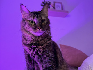 😸😸