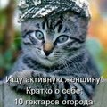 tvoison111
